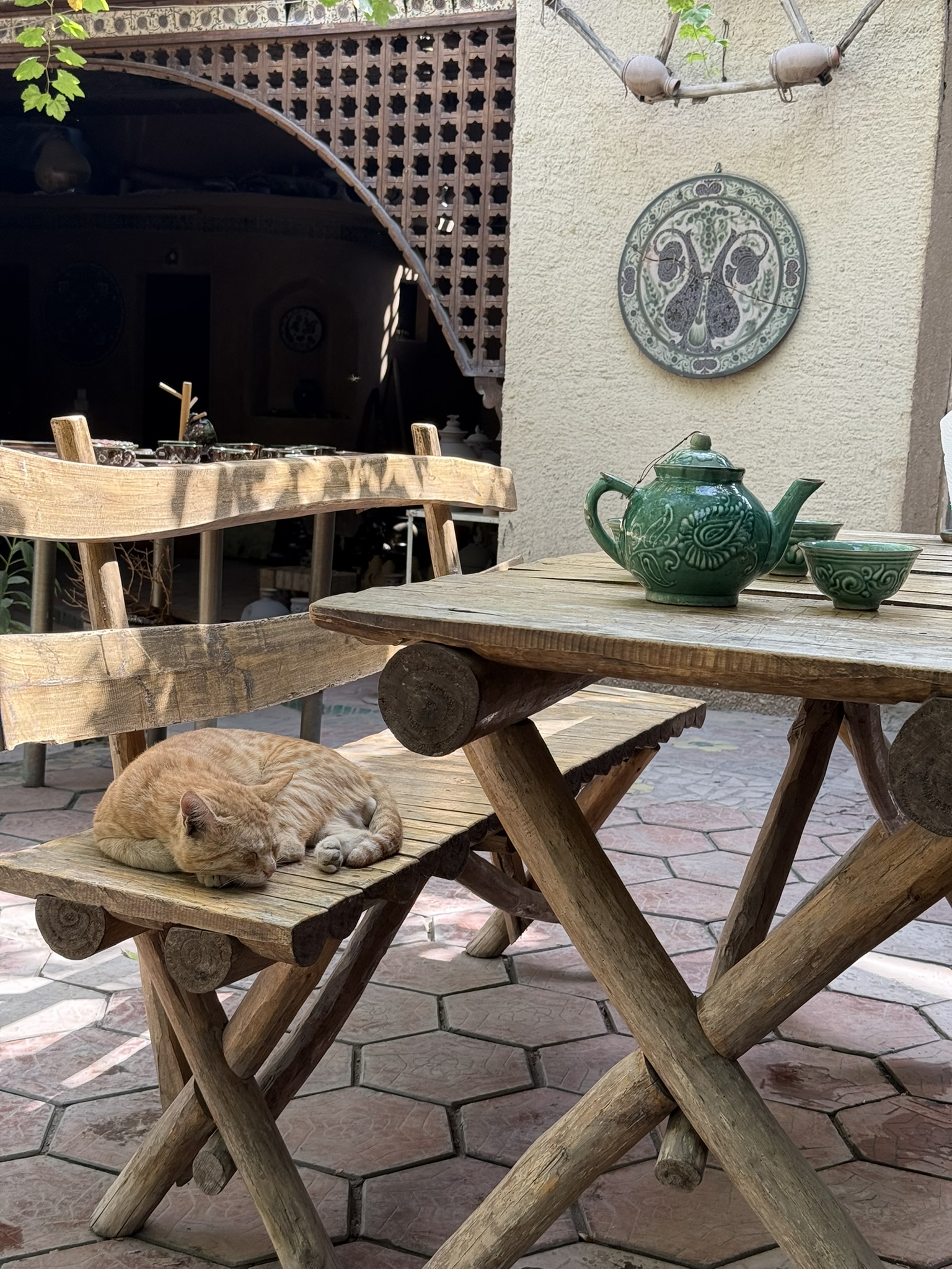 Kot w pracowni ceramicznej